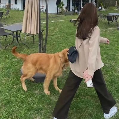 猛虎出笼海报