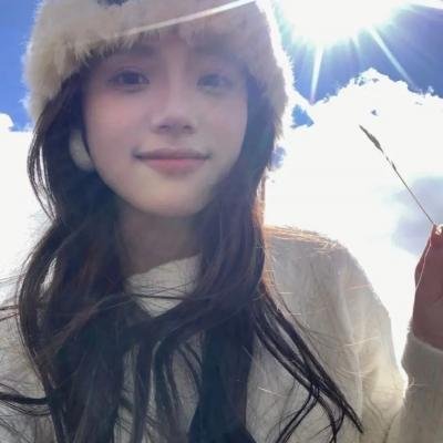 高度机密海报