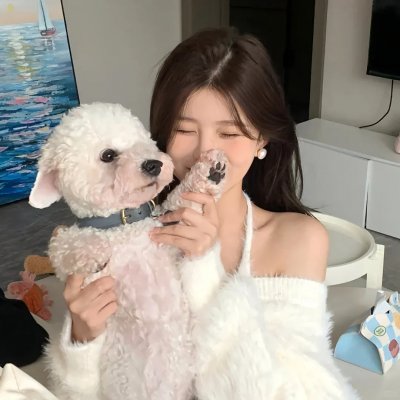 泰山传奇:森林争霸海报