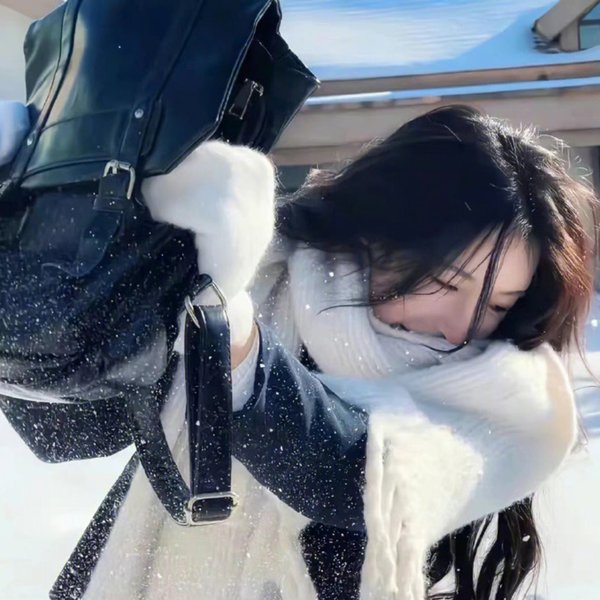卫兵海报